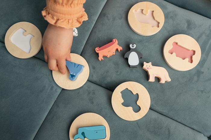 BS Toys – Puzzle Με Σφηνώματα