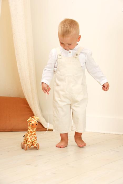 Gina the pull along giraffe