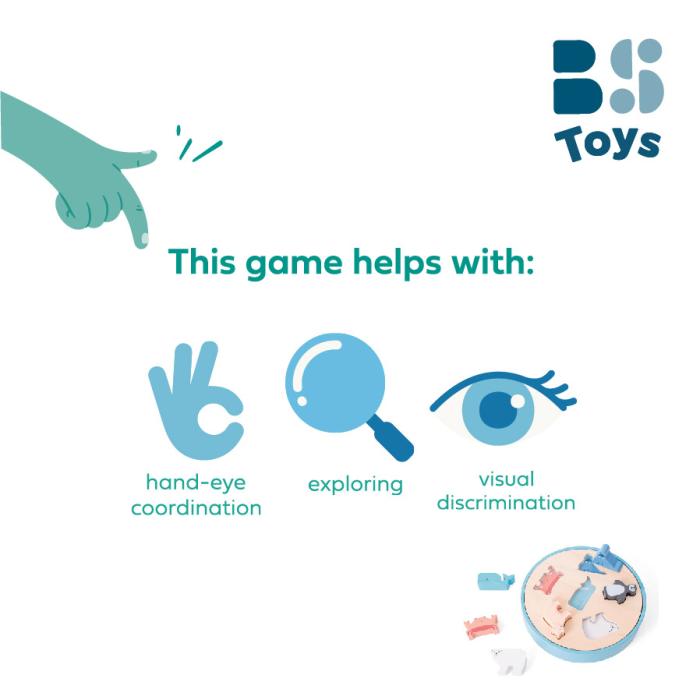 BS Toys – Ταξινομητής Σχημάτων