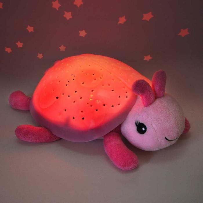 Twilight Turtle - Blue