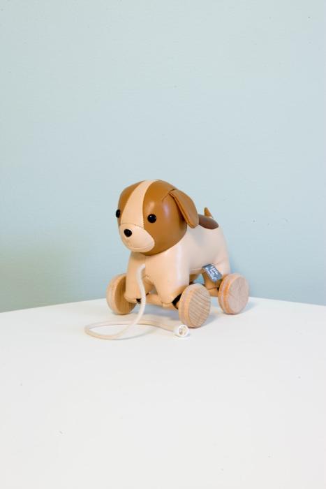 Adrien the pull along dog