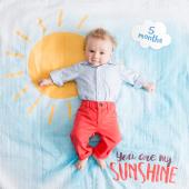 Lulujo Mουσελίνα Φωτογράφισης   Κάρτες- You Are My Sunshine