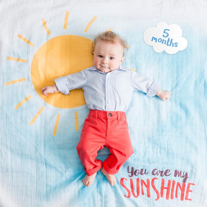 Lulujo Mουσελίνα Φωτογράφισης   Κάρτες- You Are My Sunshine