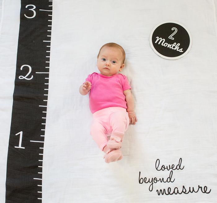 Lulujo  Mουσελίνα Φωτογράφισης   Κάρτες – Loved Beyond Measure