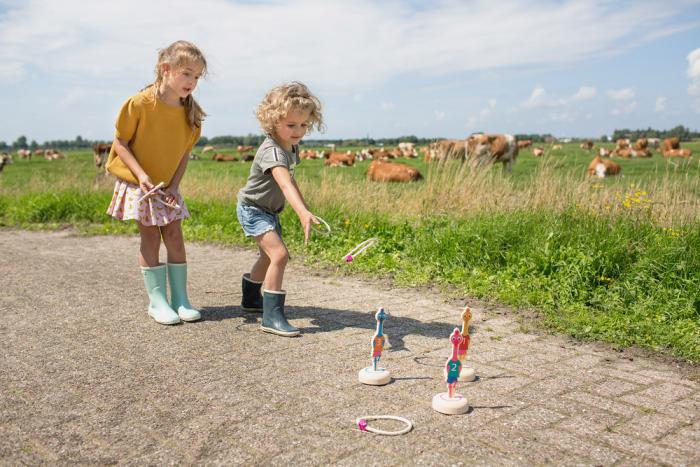 BS Toys Ring Toss Birds – Κινούμενοι στόχοι