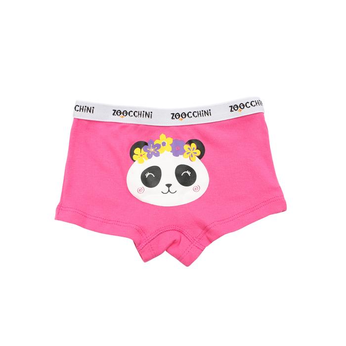 100% οργανικά βαμβακερά Hipsters 3 pc set -Flower Power - 5-6 ΕΤΩΝ