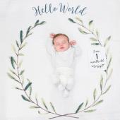 Mουσελίνα Φωτογράφισης   Κάρτες- Hello World
