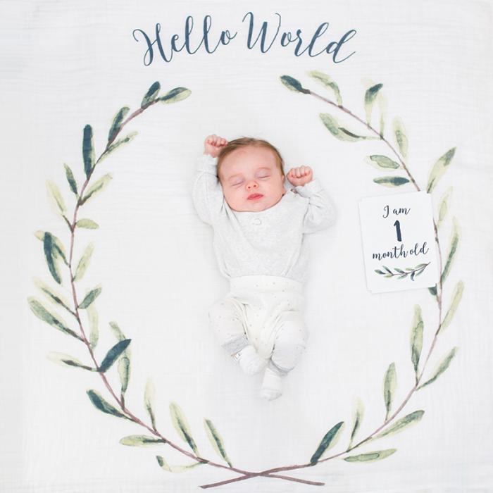 Mουσελίνα Φωτογράφισης   Κάρτες- Hello World