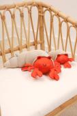 Musical Animals – Brigitte the Ermit Crab