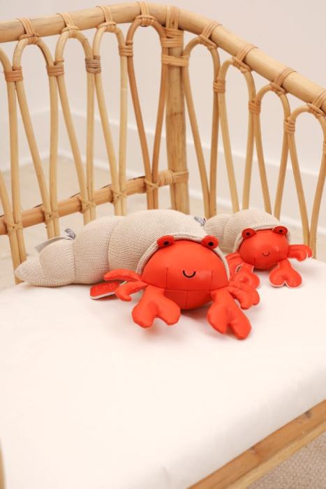 Musical Animals – Brigitte the Ermit Crab