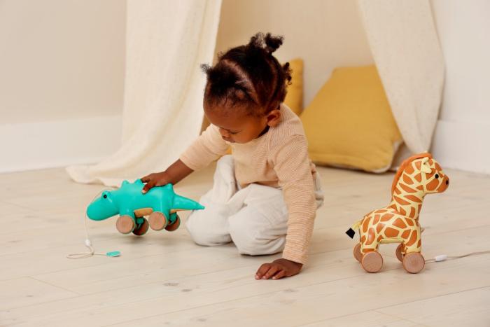 Gina the pull along giraffe