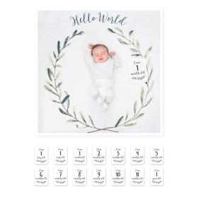 Mουσελίνα Φωτογράφισης   Κάρτες- Hello World