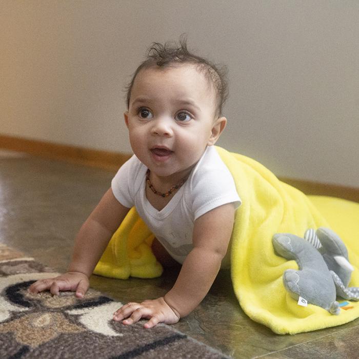 Zoocchini Stroller Blanket – Elephant Buddy