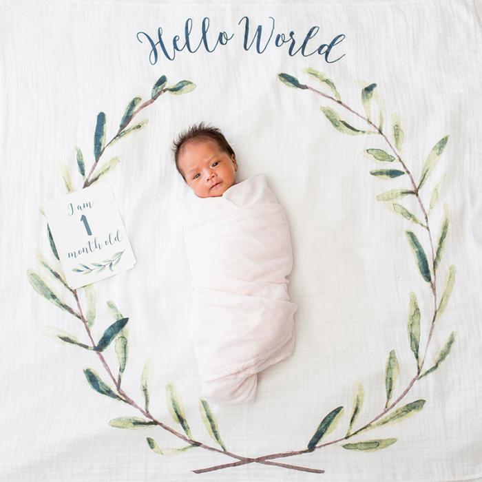 Mουσελίνα Φωτογράφισης   Κάρτες- Hello World