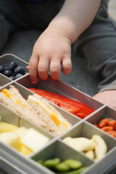 Melii – Snackle Box Large Grey