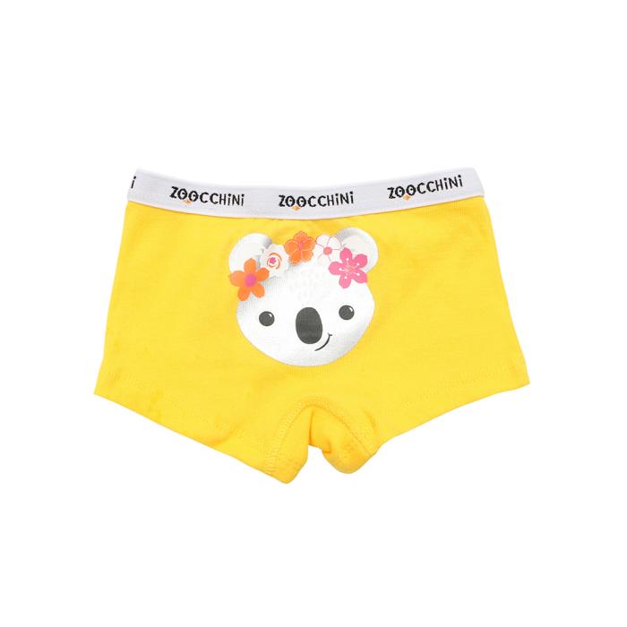100% οργανικά βαμβακερά Hipsters 3 pc set -Flower Power - 5-6 ΕΤΩΝ