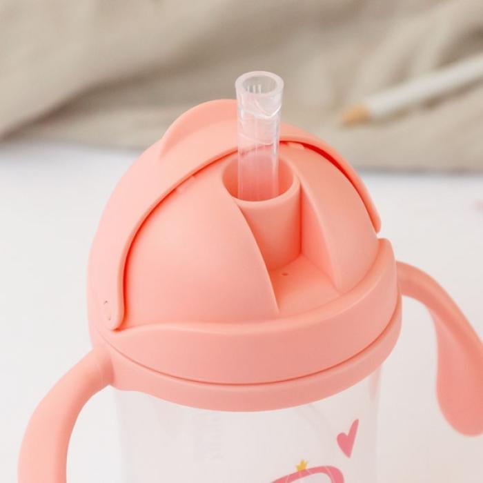 Παγούρι με Λαβές Princess 300ml.6+Μ
