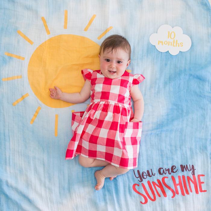 Lulujo Mουσελίνα Φωτογράφισης Κάρτες- You Are My Sunshine