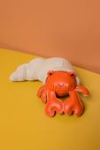 TINY FRIENDS – Brigitte the Hermit Crab