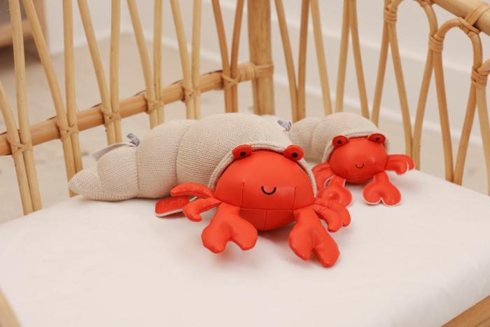 TINY FRIENDS – Brigitte the Hermit Crab
