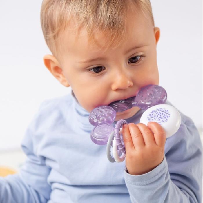 Μασητικός Κρίκος Οδοντοφυΐας Νερού Λιλά