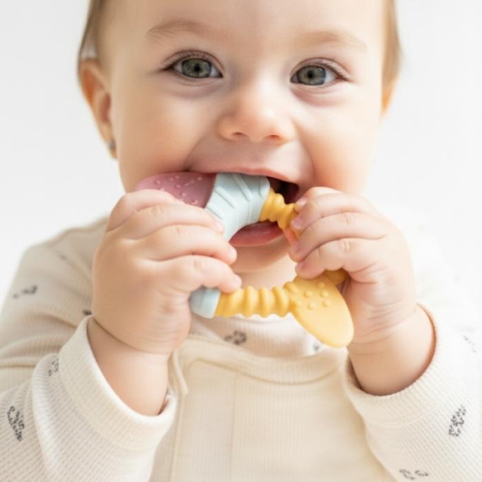 Μασητικό Νερού Οδοντοφυΐας Ψαράκια Blossom
