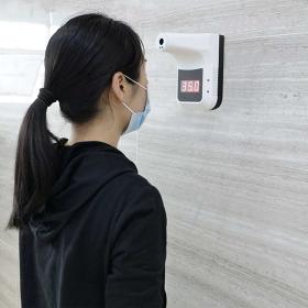 Heleco Επιτοίχιο Θερμόμετρο Standard (Ti)