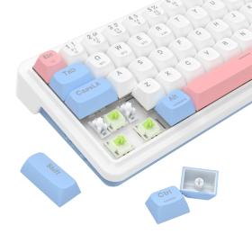 Gaming πληκτρολόγιο - Redragon K709WBP-RGB-PRO