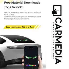 CARMEDIA CMDU 301 LED DISPLAY