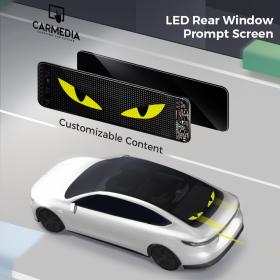 CARMEDIA CMDU 301 LED DISPLAY