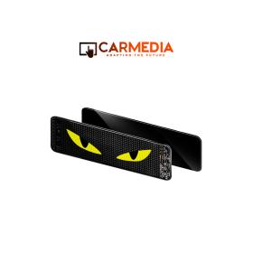 CARMEDIA CMDU 301 LED DISPLAY