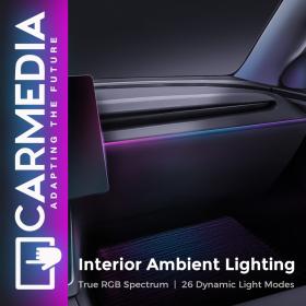 CARMEDIA CMDU 101 AMBIENT LIGHT