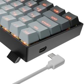 Gaming πληκτρολόγιο - Redragon Fizz K617GGB-RGB-M