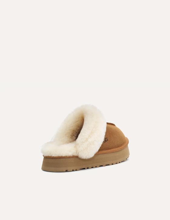  1122550 Disquette Slipper