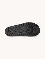 1175132 Goldenstar Cut Out