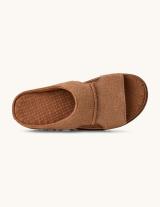 1175132 Goldenstar Cut Out