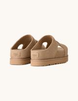 1175132 Goldenstar Cut Out