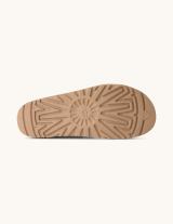 1175132 Goldenstar Cut Out