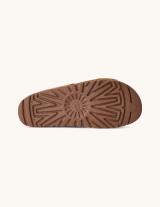 1175132 Goldenstar Cut Out