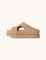 1175132 Goldenstar Cut Out