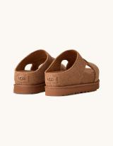 1175132 Goldenstar Cut Out