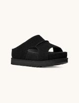 1175132 Goldenstar Cut Out
