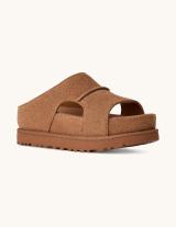 1175132 Goldenstar Cut Out