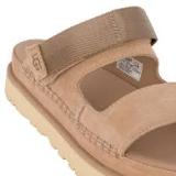 1167399 GOLDENSTAR GLIDE