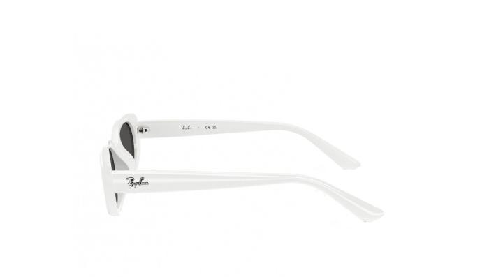 Γυαλιά Ηλίου Ray Ban RB4441D 677287